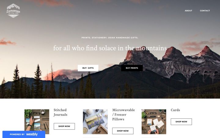 Screenshot of lemoneeonthehills.com