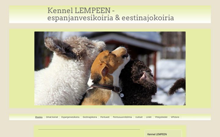 Screenshot of lempeen.net