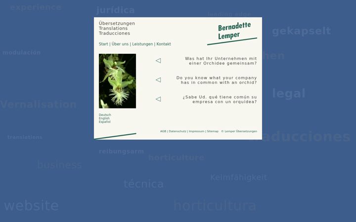 Screenshot of lemper-translations.de
