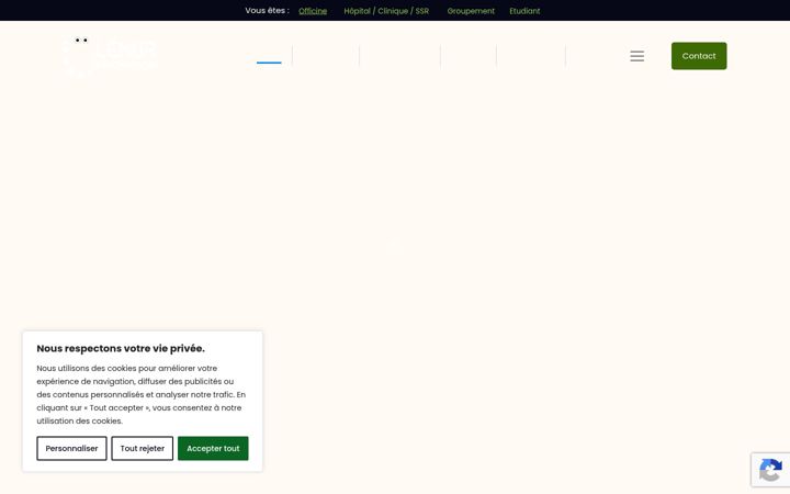 Screenshot of lemur-innov.fr