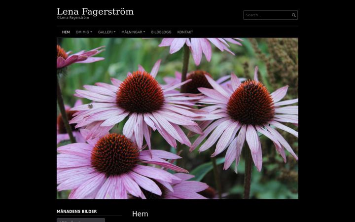 Screenshot of lenafagerstrom.se