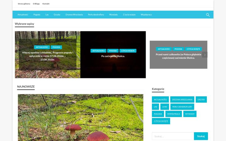Screenshot of lenartpawel.pl