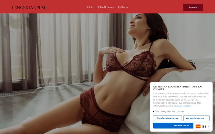 Screenshot of lencerianplm.com
