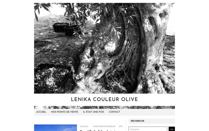 Screenshot of lenika-couleur-olive.com