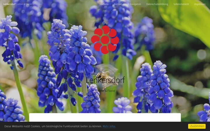 Screenshot of lenkersdorf.de