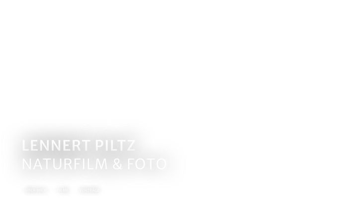Screenshot of lennertpiltz.de