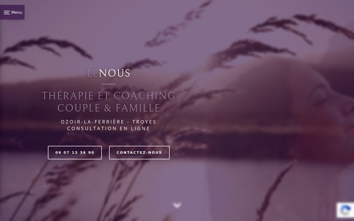 Screenshot of lenous.org