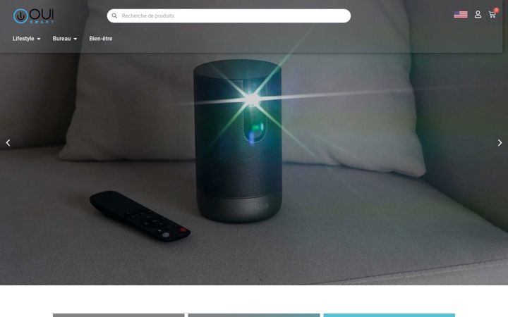 Screenshot of lenso.fr