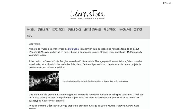 Screenshot of lenystora.com