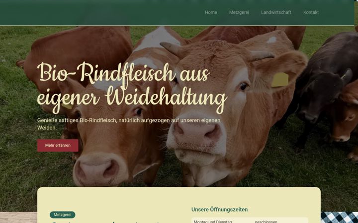 Screenshot of lenz-metzgerei.de
