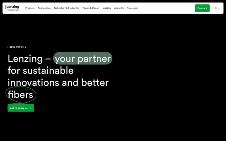 Screenshot of lenzing.com