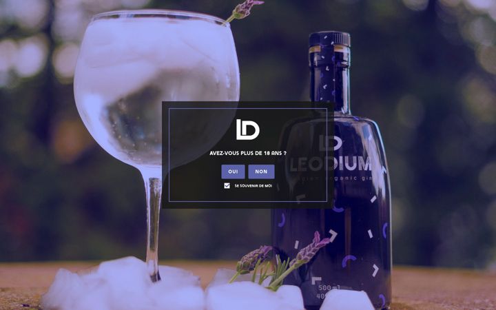 Screenshot of leodiumgin.be