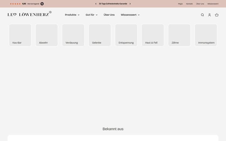 Screenshot of leoloewenherz.de