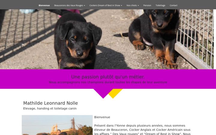 Screenshot of leonard-nolle.com