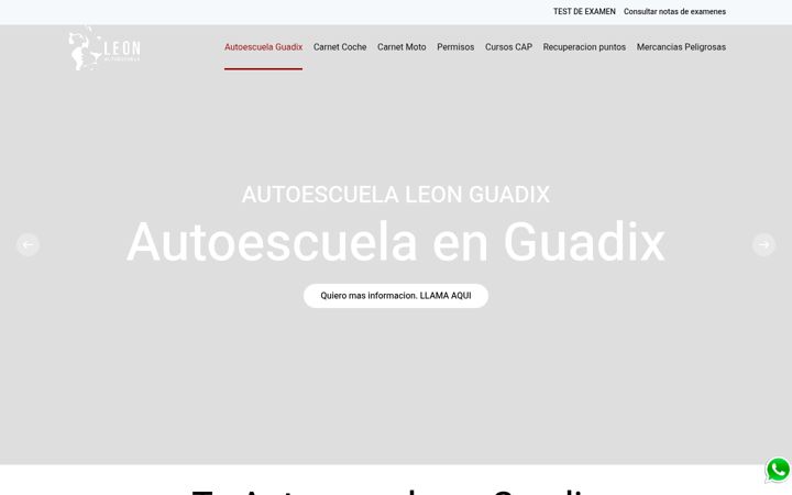 Screenshot of leonautoescuela.com