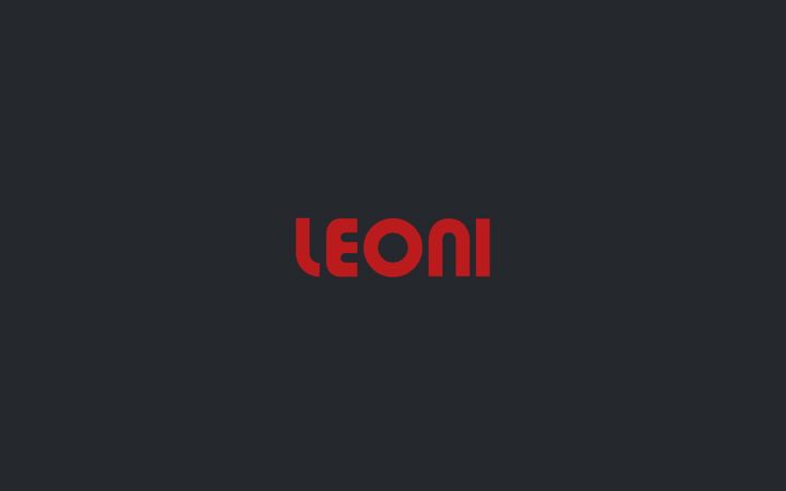 Screenshot of leonicarpenteria.it