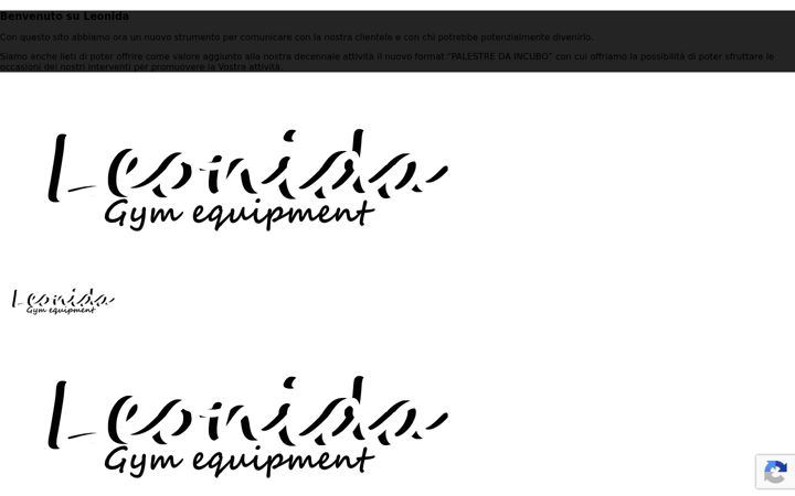 Screenshot of leonidashop.it