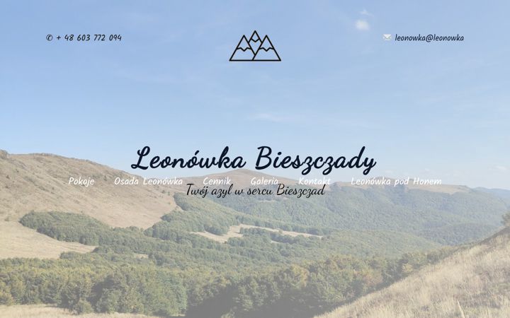 Screenshot of leonowka.com