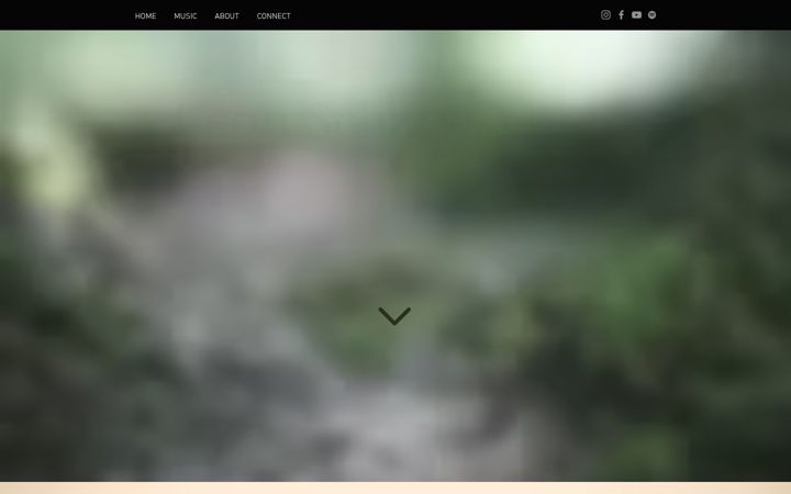 Screenshot of leonscharwaechter.com
