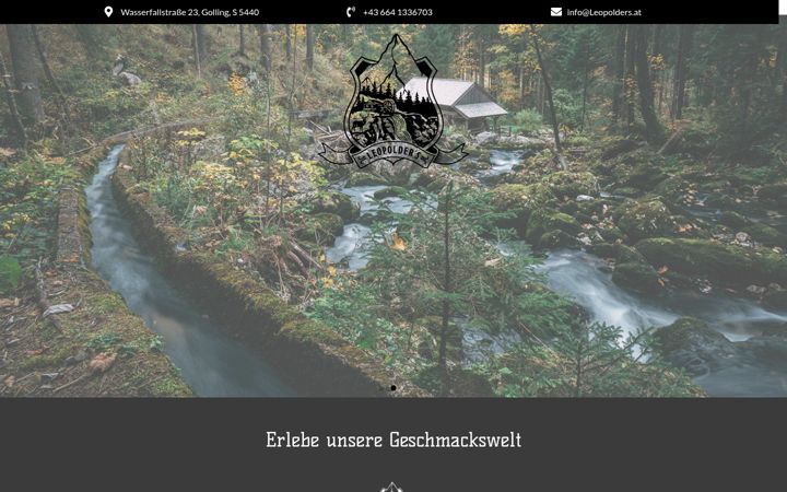 Screenshot of leopolders.at