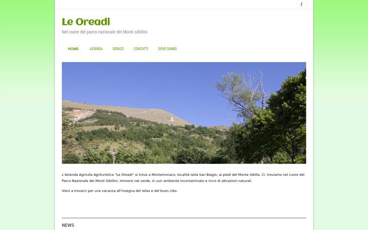 Screenshot of leoreadi.com