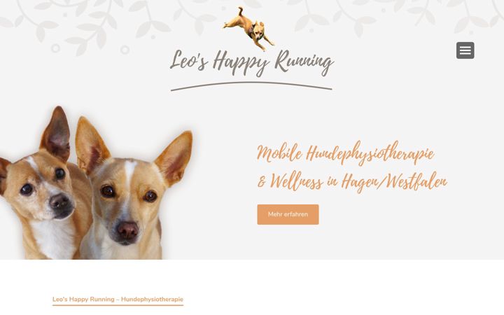 Screenshot of leos-happy-running.de