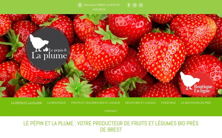 Screenshot of lepepinetlaplume.com