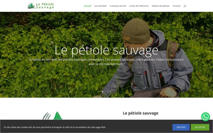 Screenshot of lepetiolesauvage.ch