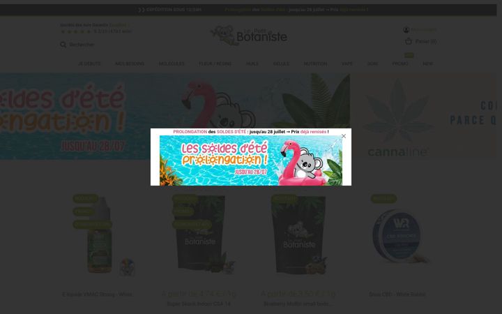 Screenshot of lepetitbotaniste.com