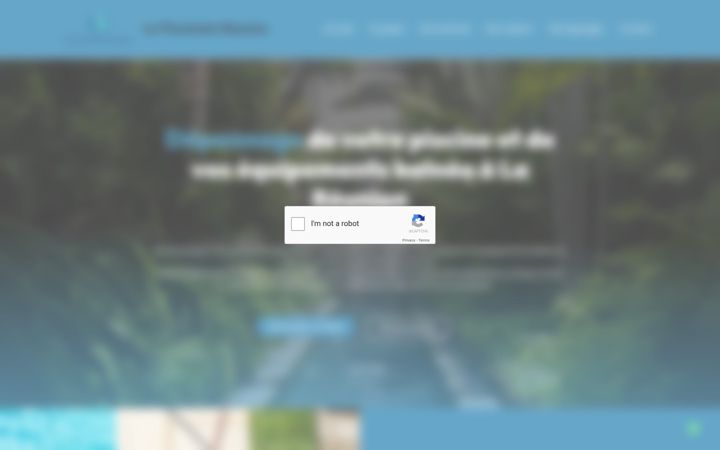 Screenshot of lepiscinistereunion.fr