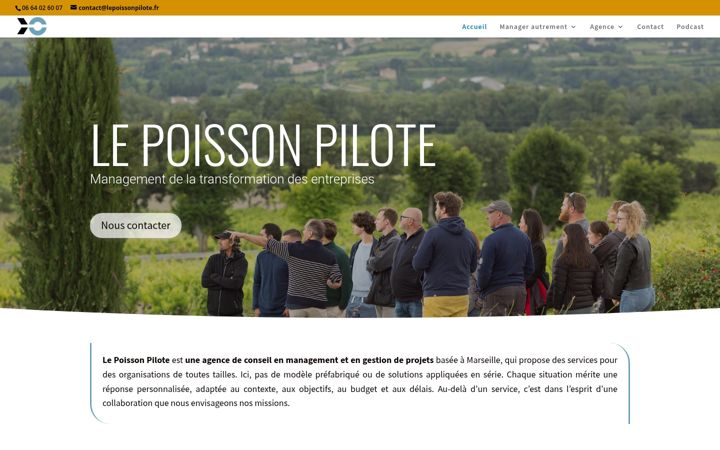 Screenshot of lepoissonpilote.fr