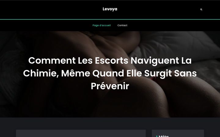 Screenshot of lepotagervoyageur.fr