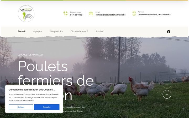 Screenshot of lepouletdemainvault.be