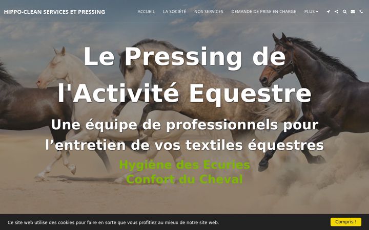 Screenshot of lepressingducheval.com