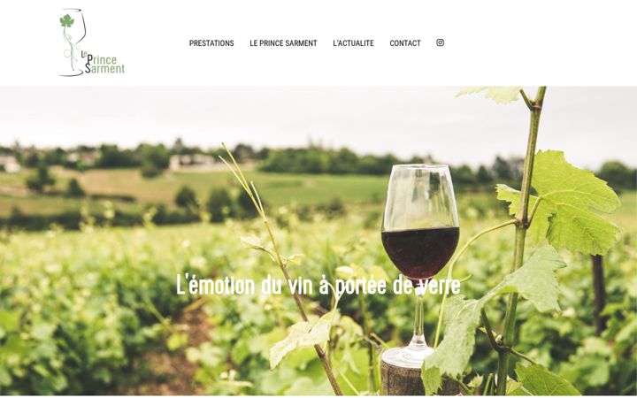 Screenshot of leprincesarment.com