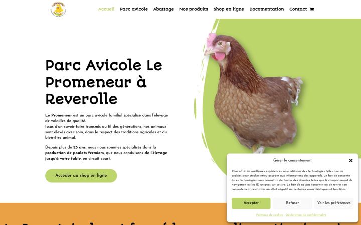 Screenshot of lepromeneur.ch