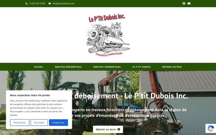 Screenshot of leptitdubois.com