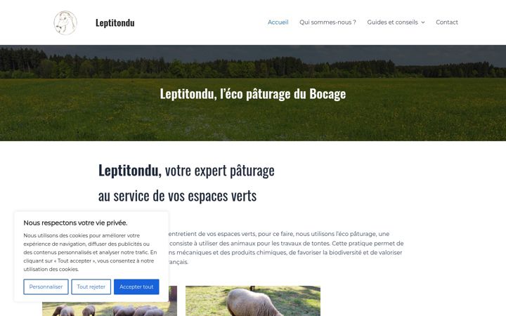Screenshot of leptitondu.fr