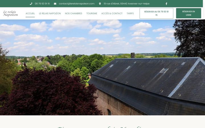 Screenshot of lerelaisnapoleon.com