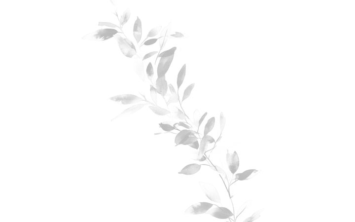 Screenshot of lerevedaghon.com