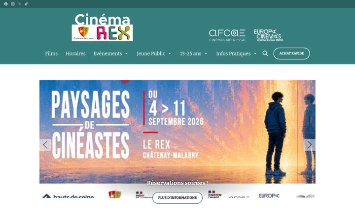 Screenshot of lerex-chatenaymalabry.fr