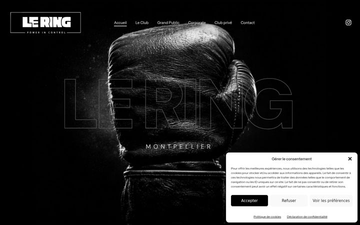 Screenshot of lering-boxingclub.com