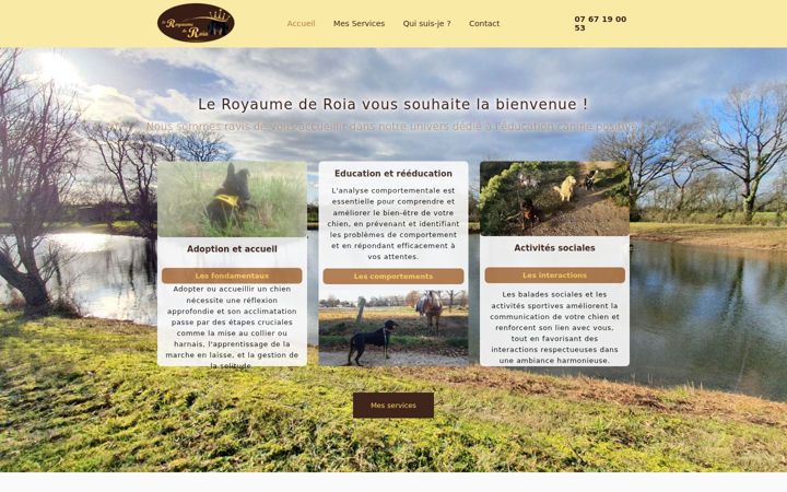 Screenshot of leroyaumederoia.fr