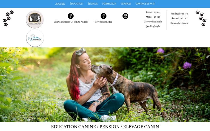 Screenshot of leru-gwenaelle-education-canine.fr