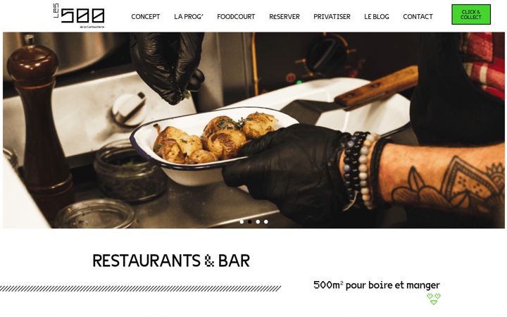 Screenshot of les-500.fr