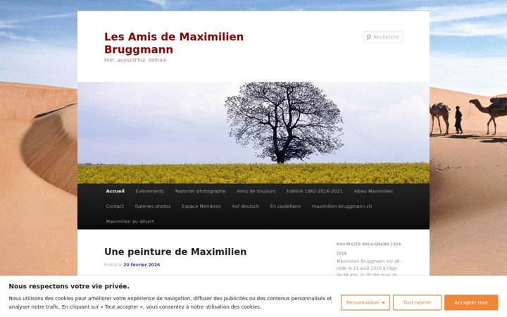 Screenshot of les-amis-de-maximilien.org