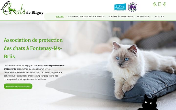 Screenshot of les-amis-des-chats-de-bligny.fr