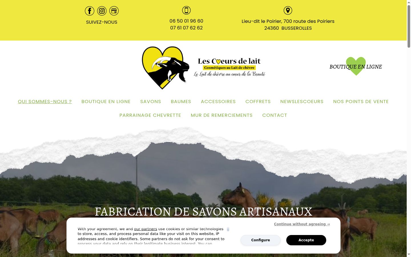 Screenshot of the consent banner shown before any interaction