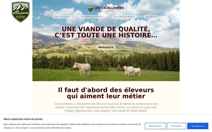 Screenshot of les-excellentes.fr
