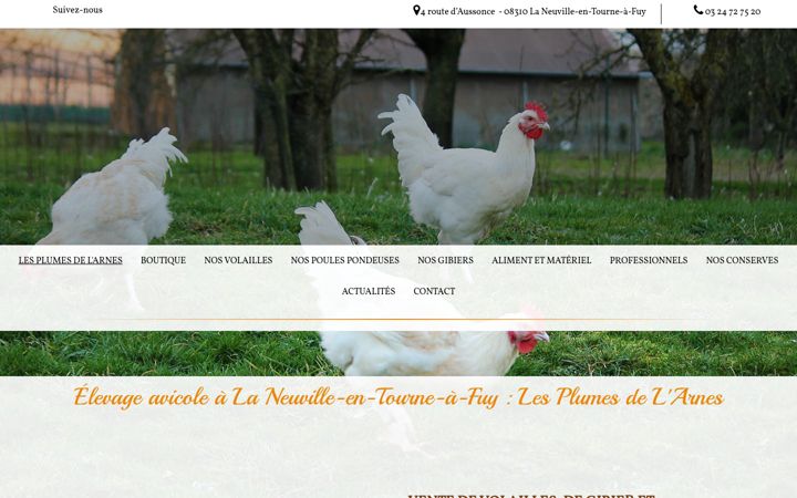 Screenshot of les-plumes-de-l-arnes.fr